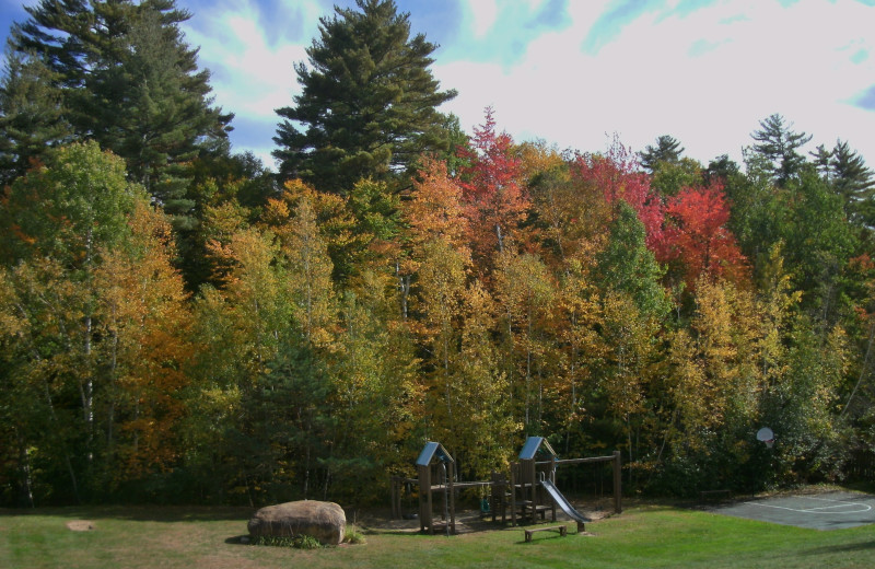 Playground at Cathedral Ledge Resort.