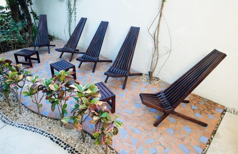 Patio view at Aqualuna Hotel.