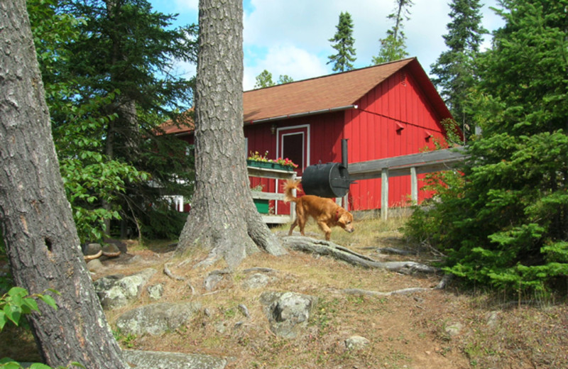 Cabin exterior at Nor'Wester Lodge.