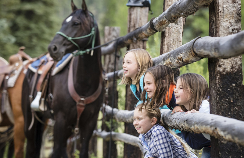 Kids and horse at 4UR Ranch.