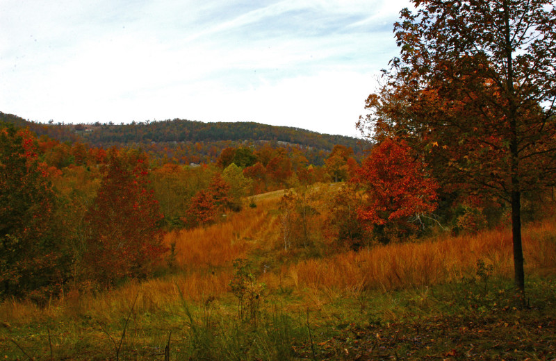 Scenic View at Horseshoe Canyon Ranch