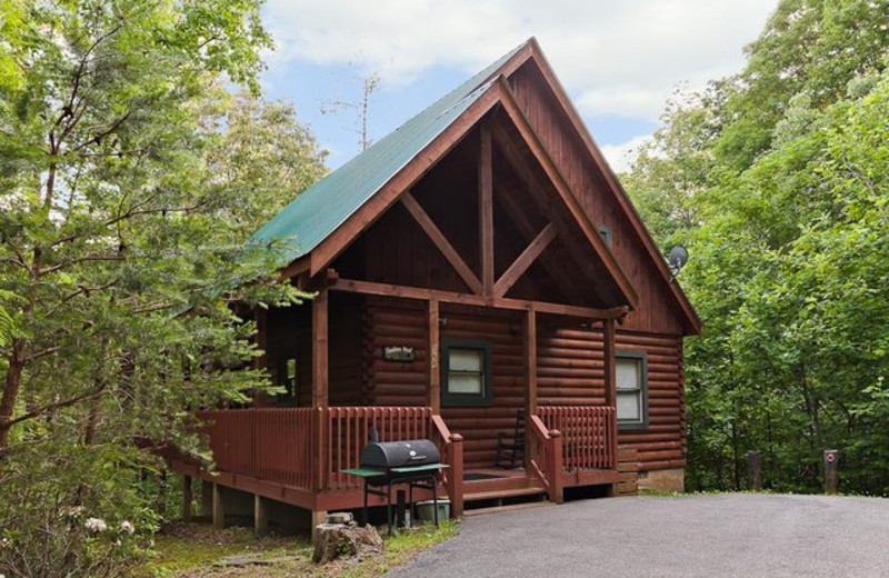 Gatlinburg Vacation Rentals Cabin Two Bedroom Cabin On The