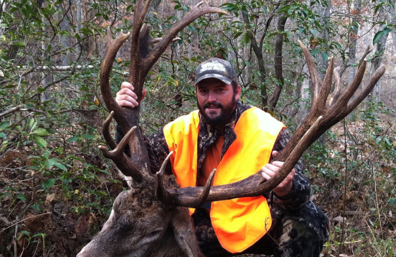 Red stag hunting at Caryonah Hunting Lodge.