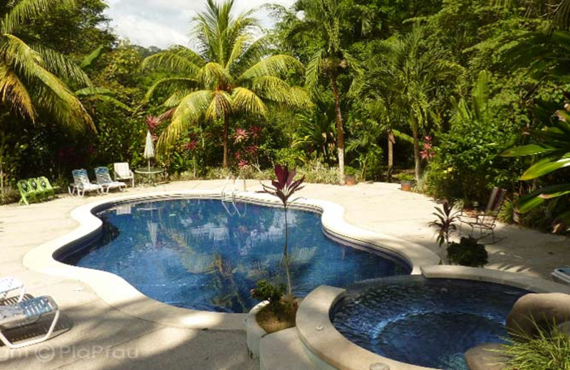 Pool at Star Mountain Eco Resort.