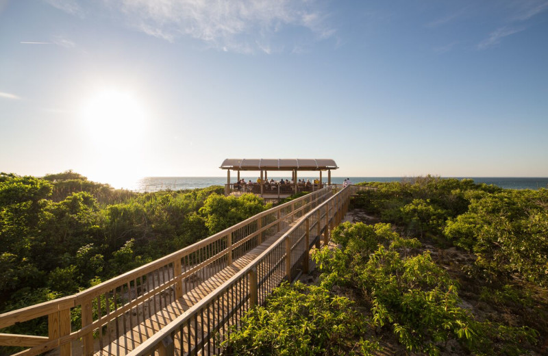 Scenic view at Ocean Edge Resort & Club on Cape Cod.