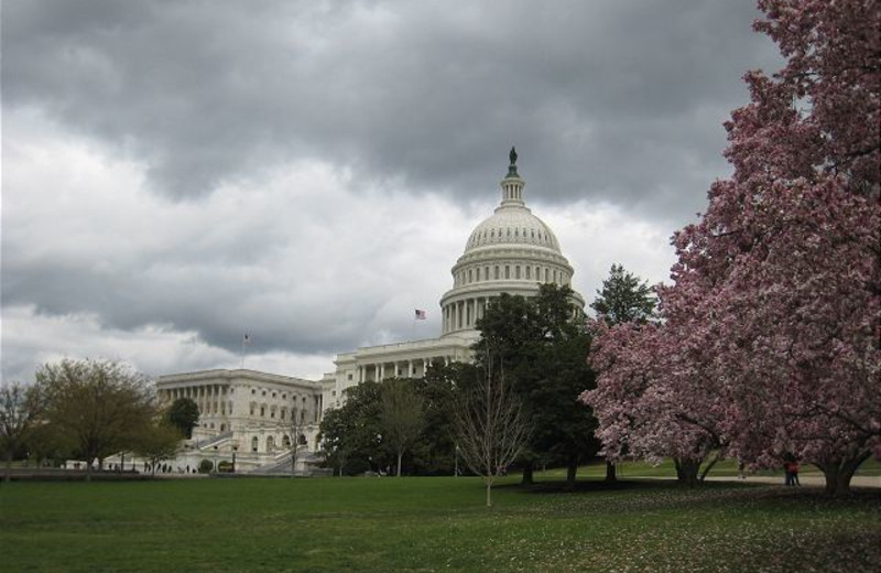 Capitol at Charlotte's Web LLC.