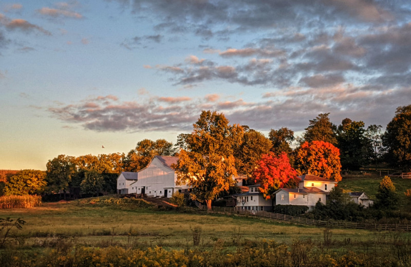 Fall scenery at Berlin Grande Hotel.