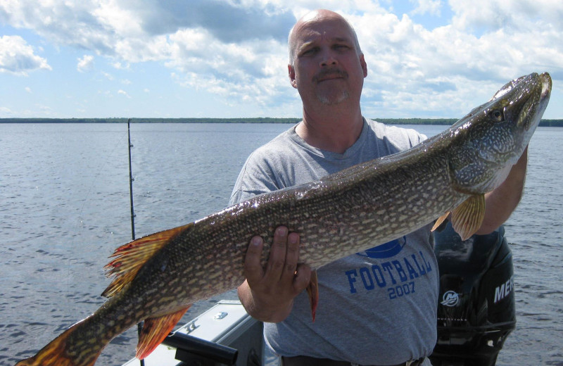 Fishing at Harris Hill Resort- Lake Of The Woods.