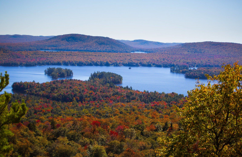 Fall leaves at Old Forge Camping Resort.