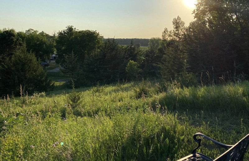 Field view at Swan Lake Resort.