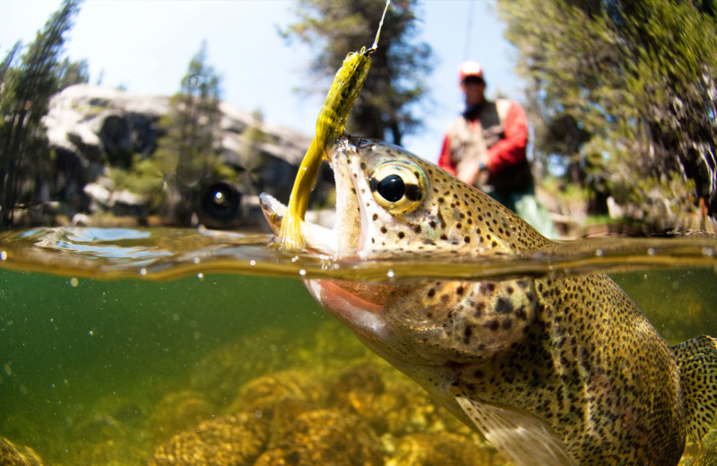 Fishing at Mountain Lodge Telluride.