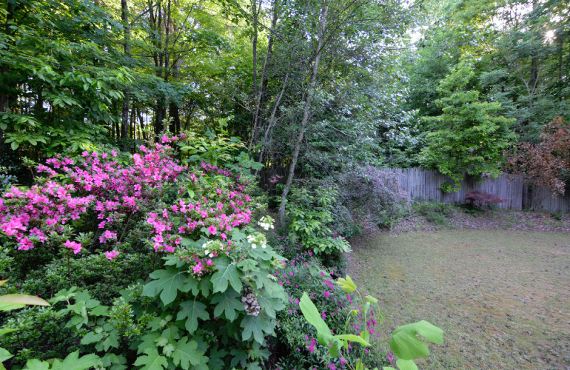 Garden at Pilot Knob Inn Bed & Breakfast.