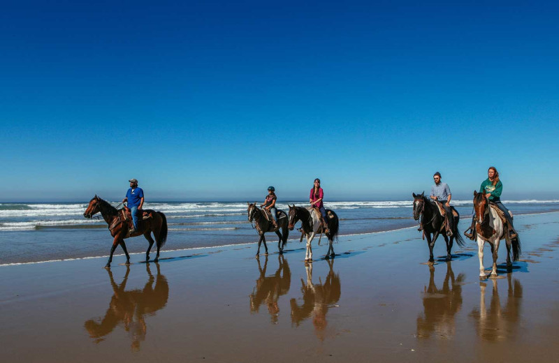 Horseback riding on beach at Driftwood Shores Resort and Conference Center.