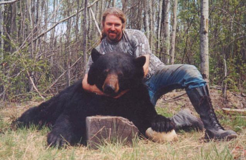 Bear hunting at Liege River Outfitting.