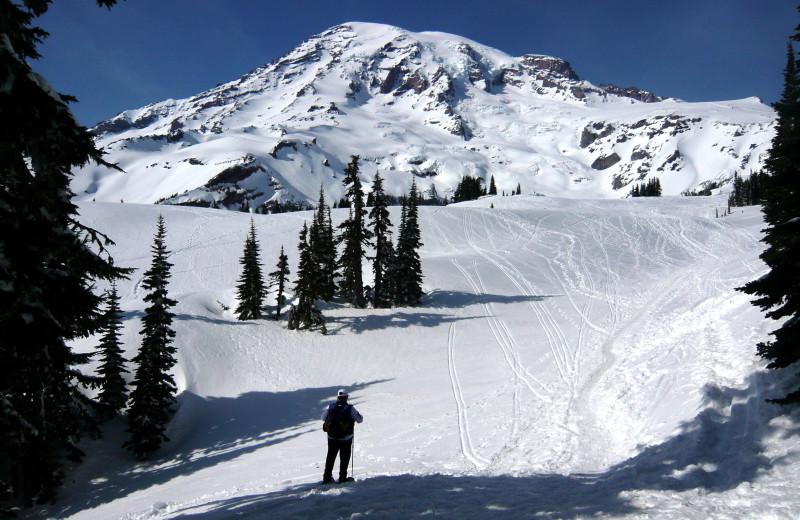 Skiing near Jasmer's Rainier Cabins & Fireplace Rooms.