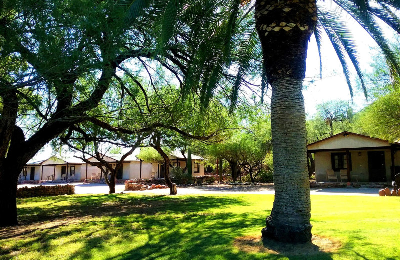 Exterior view of Saguaro Lake Guest Ranch.
