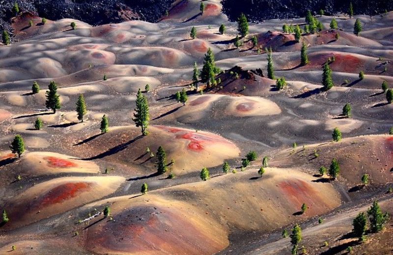 National Park near St. Bernard Lodge.