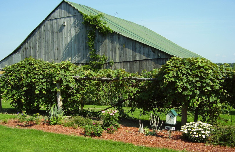 Exterior view of Jackson Run Bed 