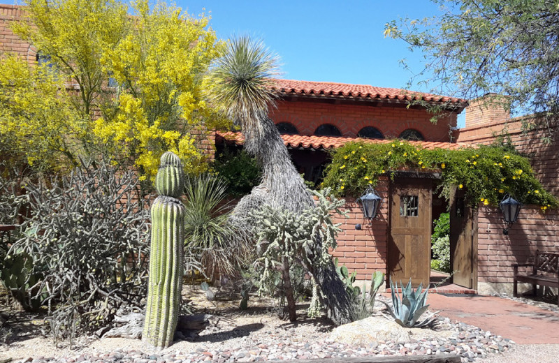 Exterior view of Desert Trails Bed 