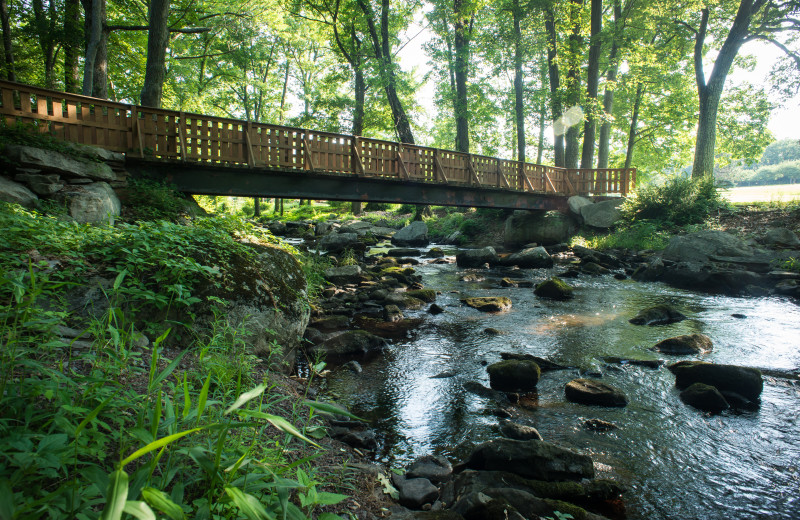 Creek at Skytop Lodge.