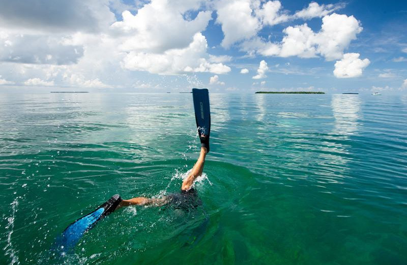 Snorkeling at The Banyan Resort.