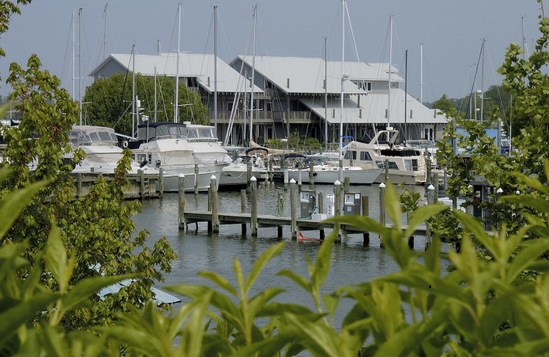 Exterior view of Knapp's Narrows Marina 