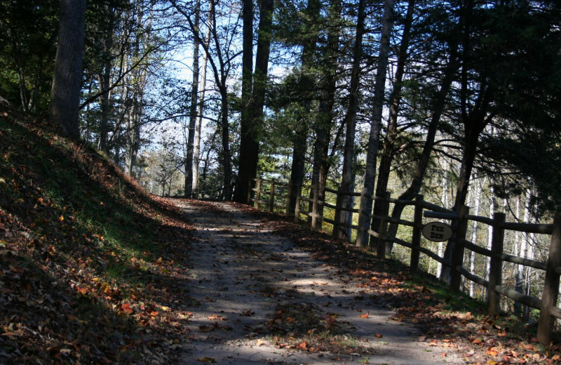 Path to cabin at Big Bear Log Cabins.