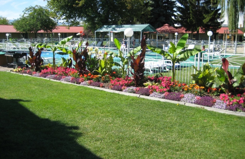 Outdoor pool at Okanagan Seasons Resort.