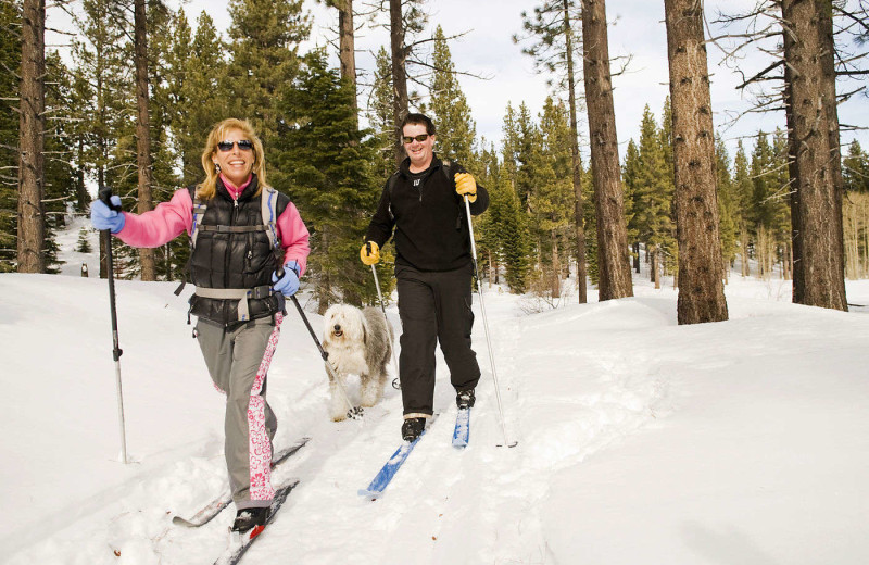 Cross country ski at Inn At Lake Joseph.