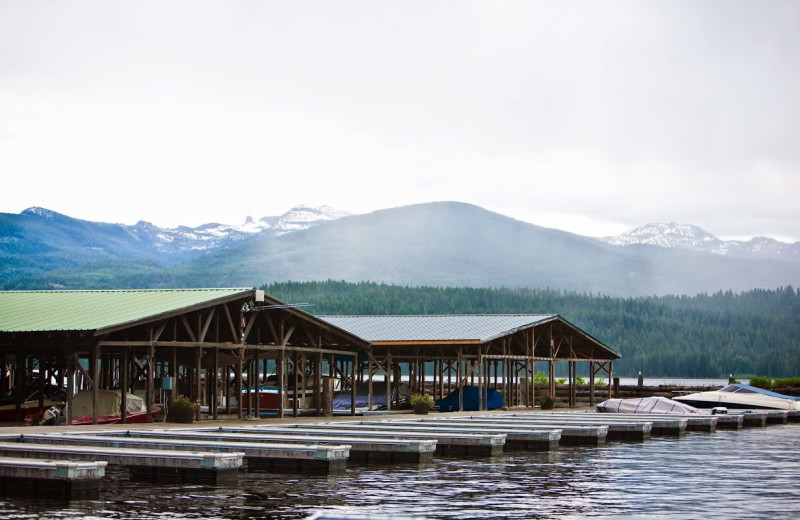 Marina at Elkins Resort.