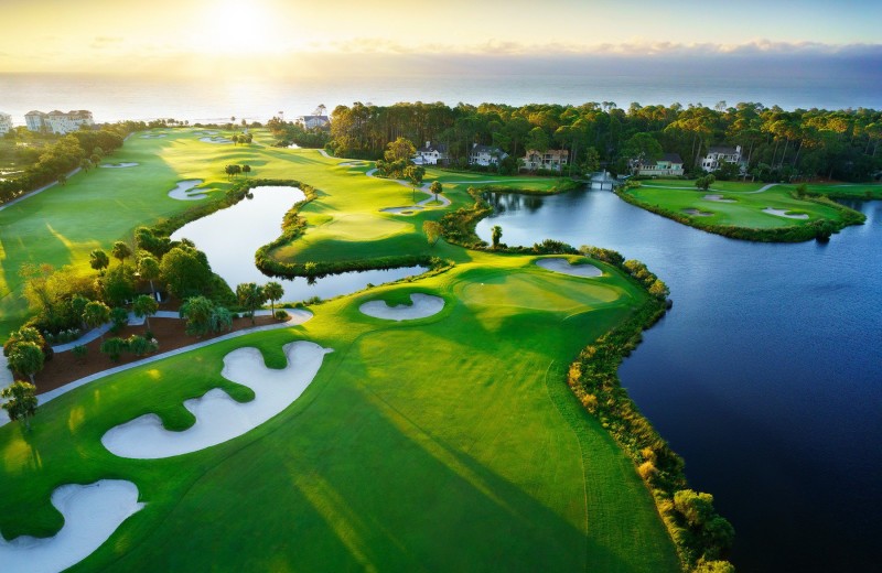 Golf at Palmetto Dunes Oceanfront Resort.