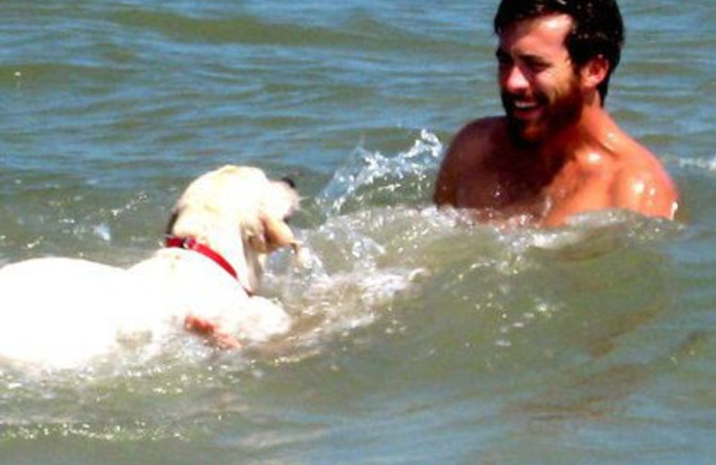 Pet Friendly at Vacation Time