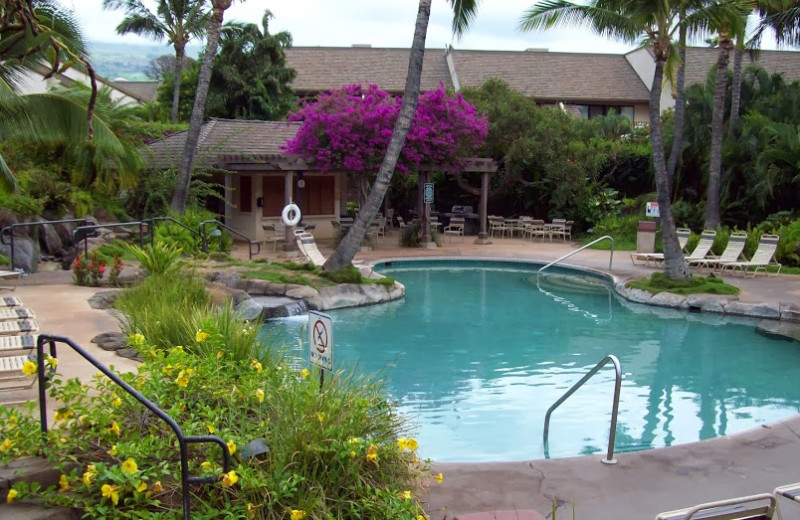 Outdoor pool at Maui Kamaole.