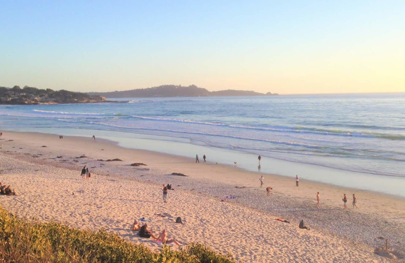 Beach at Lamp Lighter Inn 