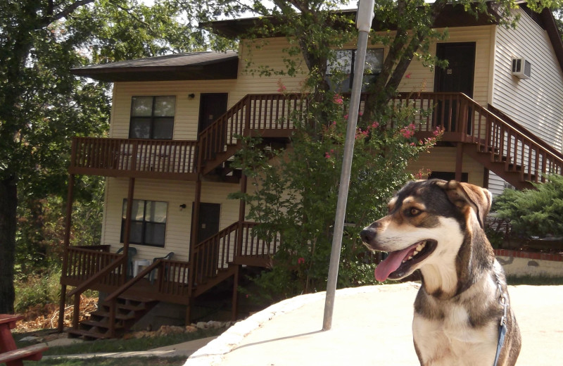 Exterior view of Bull Shoals Lake Resort.