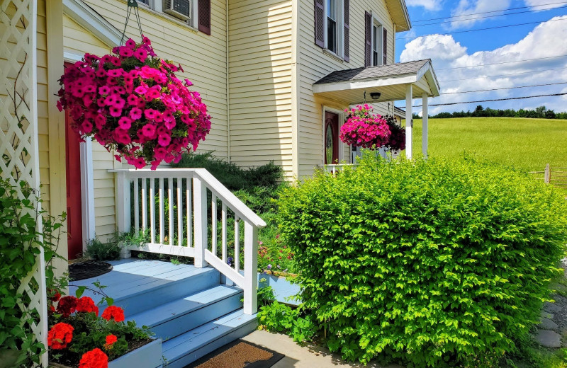 Exterior view of Mountain Treasure Bed and Breakfast.