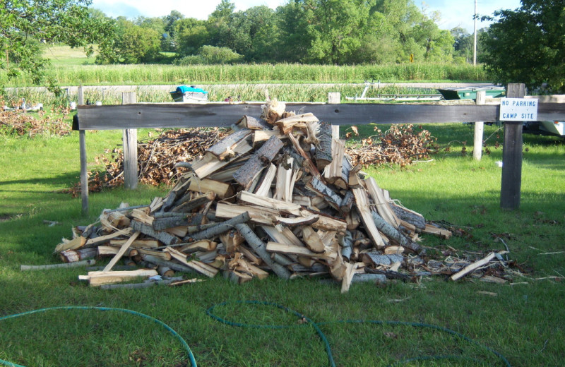 Wood pile at Abbywood Resort.