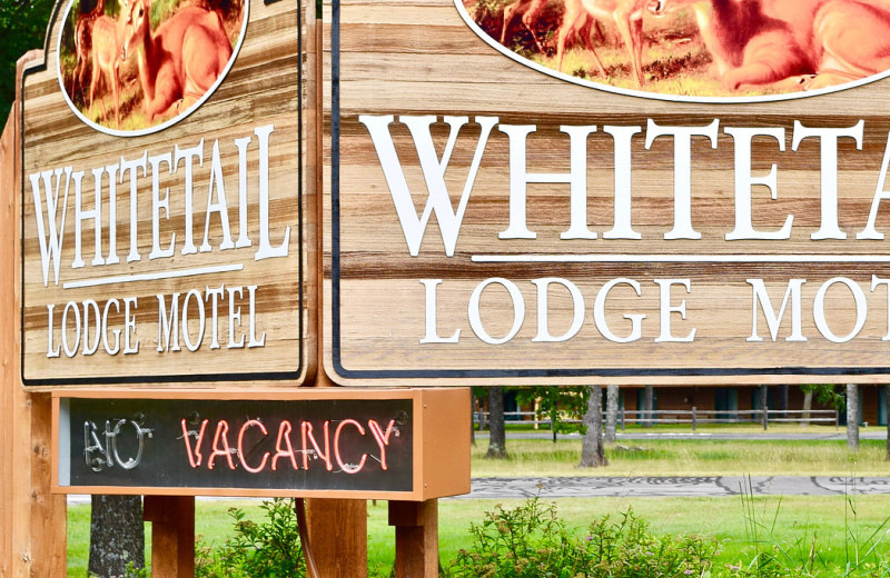 Welcome sign at Whitetail Lodge.