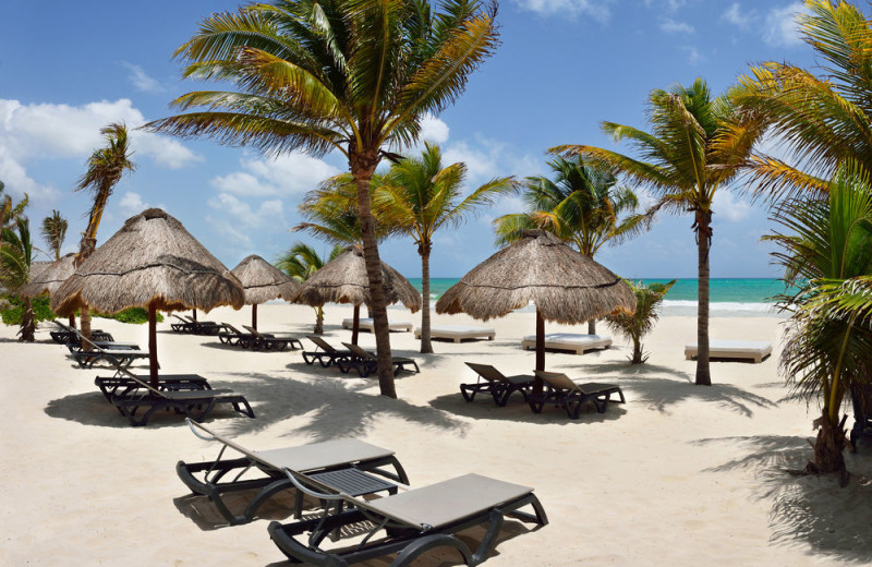 Beach at Catalonia Playa Maroma.