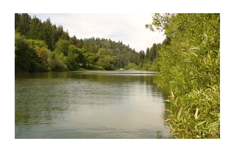 River at Highland Dell Lodge.