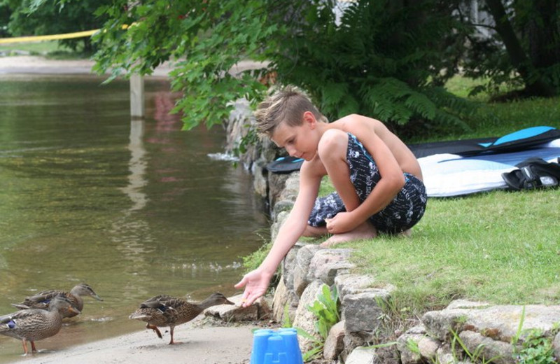 Feeding ducks at Patterson Kaye Resort.