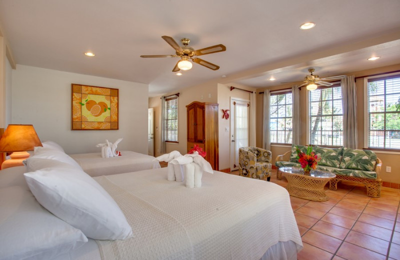 Guest room at Iguana Reef Inn.