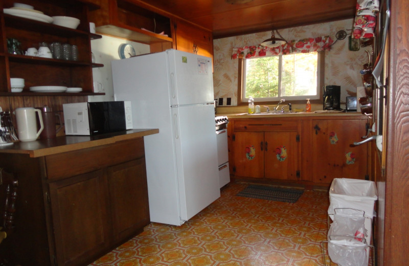 Cabin kitchen at Gypsy Villa Resort.