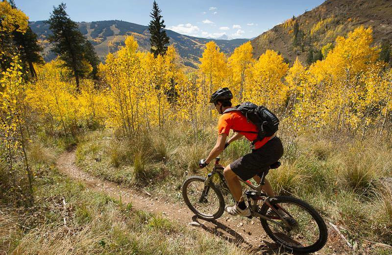 Biking at Evergreen Lodge.