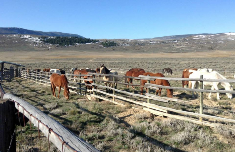 Ranch Activites at Latigo Ranch