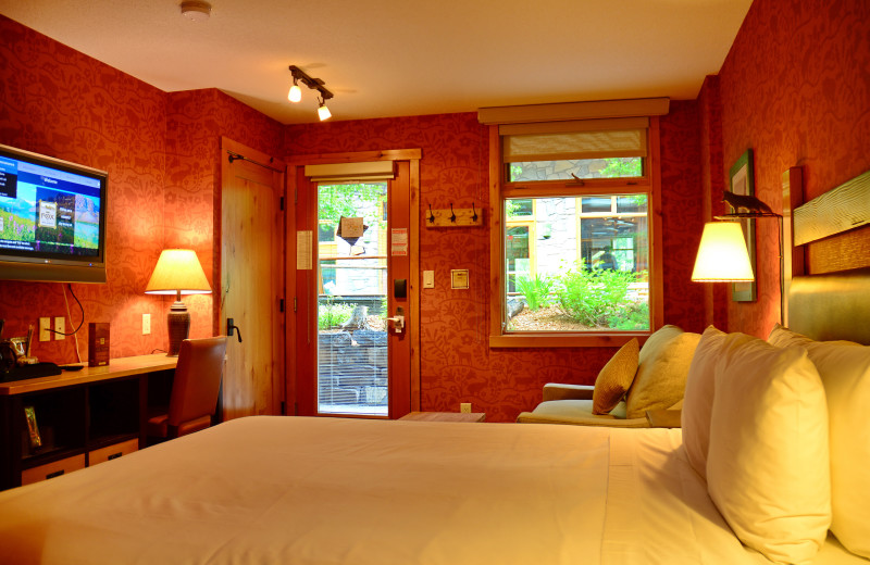 Standard Hotel Room - 1 Queen