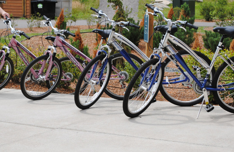 Bikes at Big Sandy Lodge & Resort.