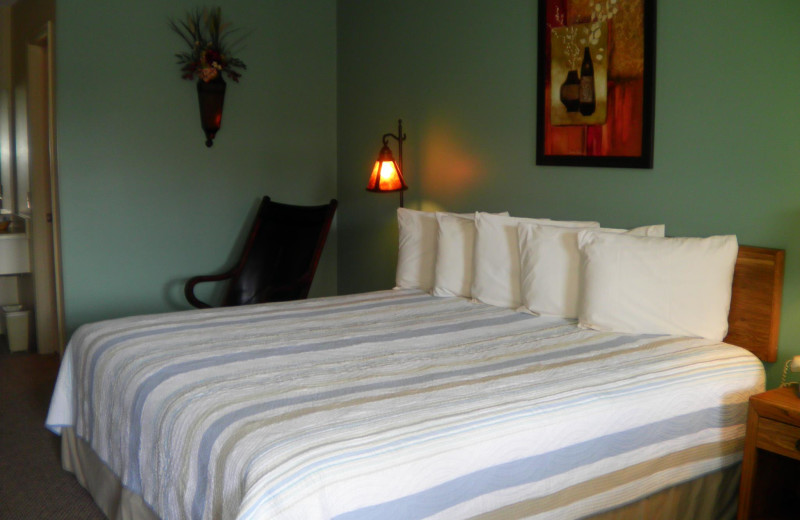 Guest room at The Lodge At Eureka Springs.