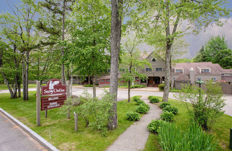 Exterior view of Snowy Owl Inn and Resort.