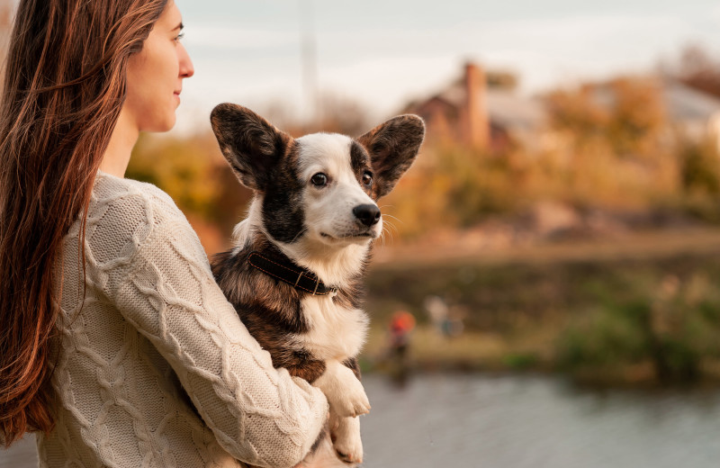 Pets welcome at Cozy Bay Resort.